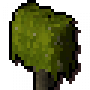 hedge3.png