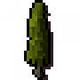 hedge6.png