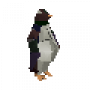 live_penguin.png