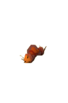 bloodworm.png