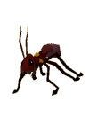 giant_ant_soldier.png